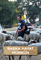 20db4f6dc6ea5258b0c6a13d1dc28a6c